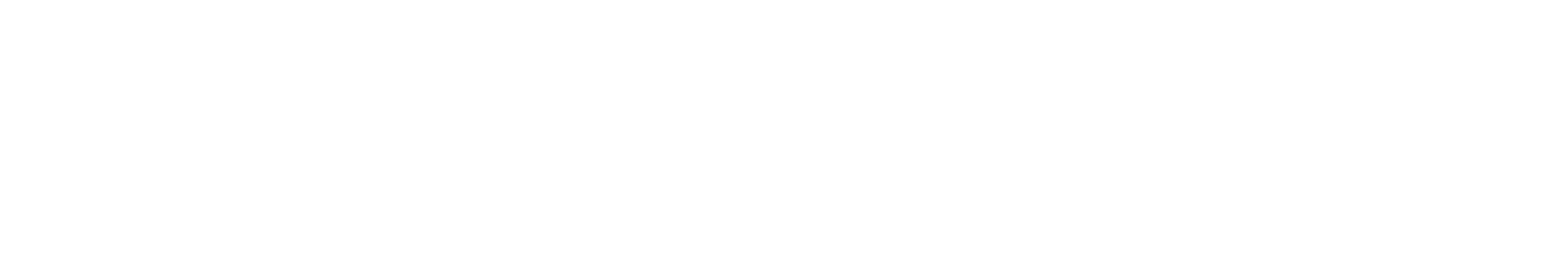 Floridian Brand Massage Chairs